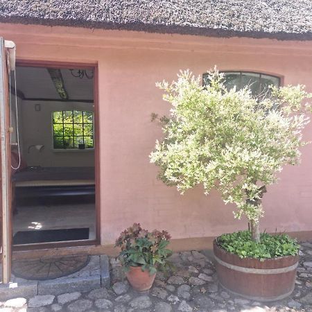 Liebhaveri I Saerklasse Årup Exteriör bild
