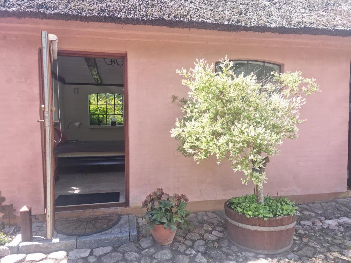 Liebhaveri I Saerklasse Årup Exteriör bild