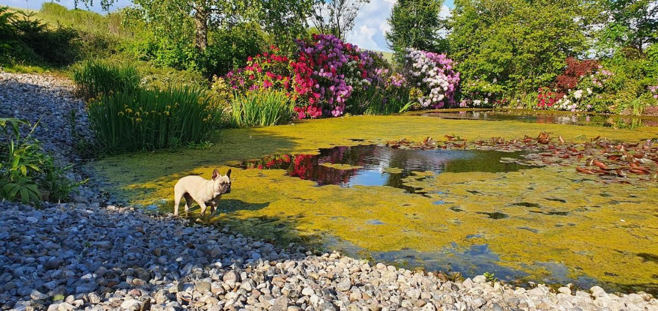 Liebhaveri I Saerklasse Årup Exteriör bild