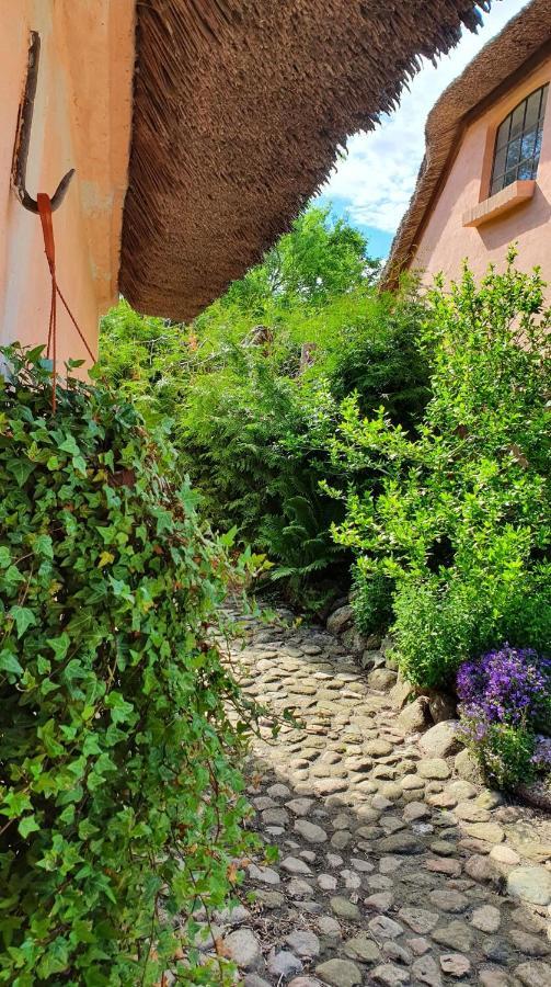 Liebhaveri I Saerklasse Årup Exteriör bild