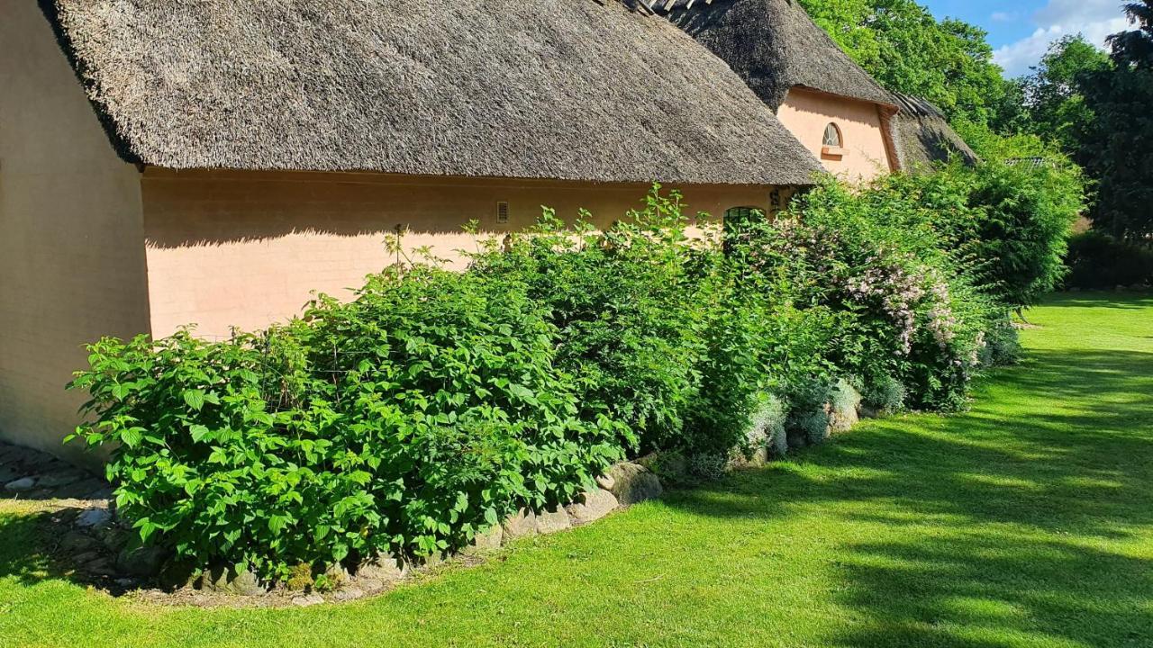 Liebhaveri I Saerklasse Årup Exteriör bild