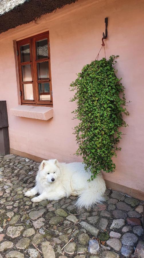 Liebhaveri I Saerklasse Årup Exteriör bild